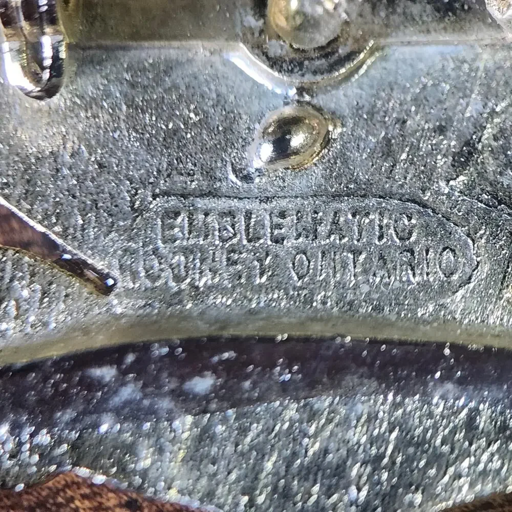 Lions vintage club